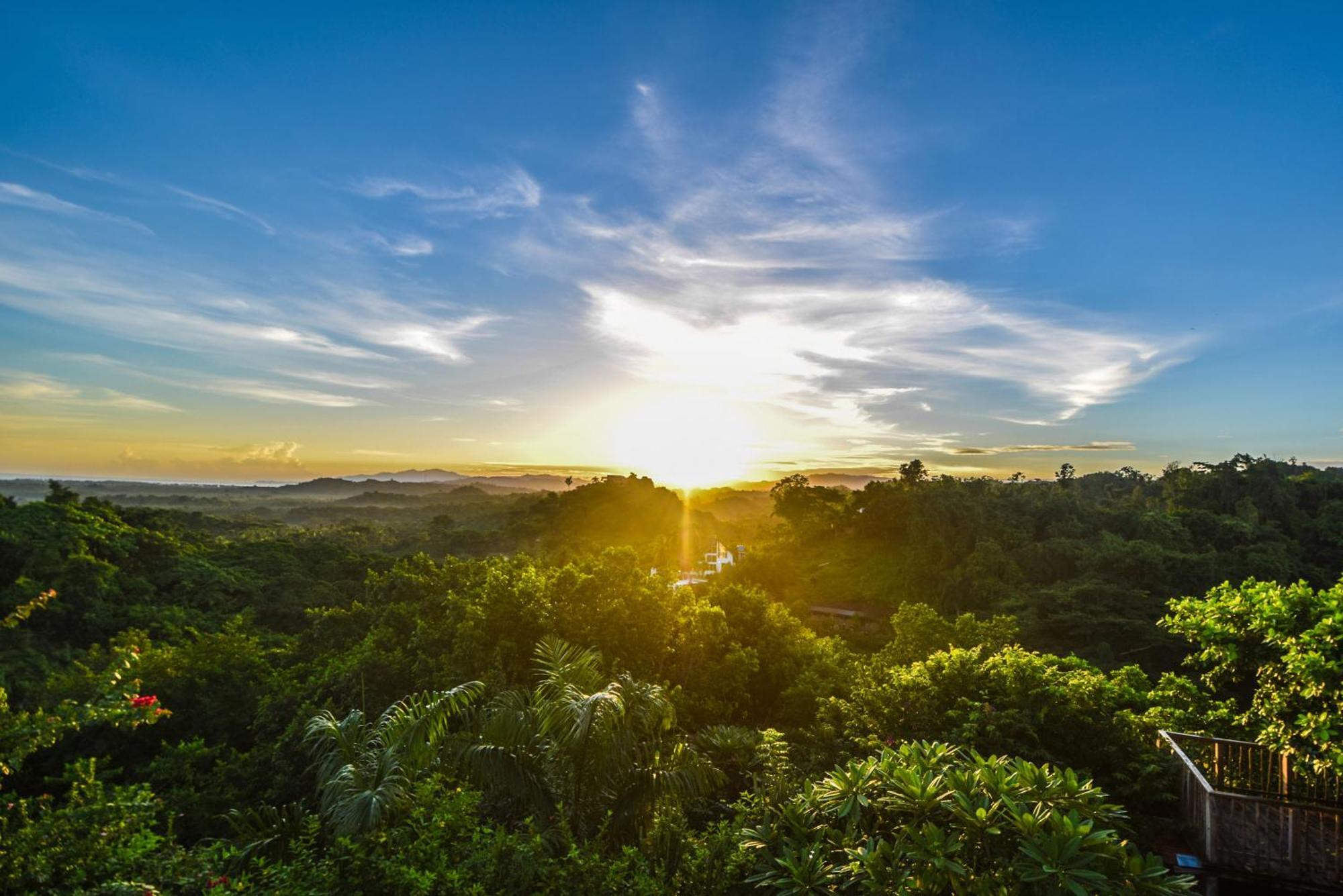Clave Verde Ecolodge Лас Терренас Экстерьер фото