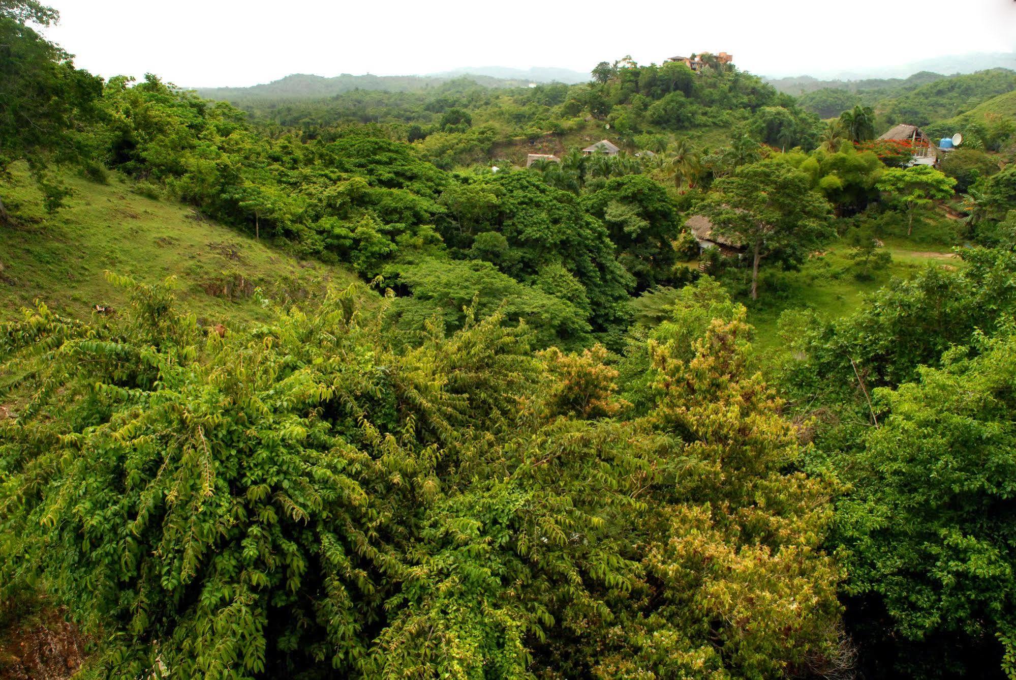 Clave Verde Ecolodge Лас Терренас Экстерьер фото