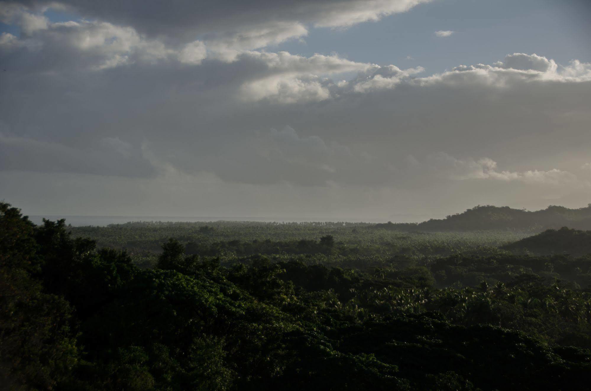 Clave Verde Ecolodge Лас Терренас Экстерьер фото